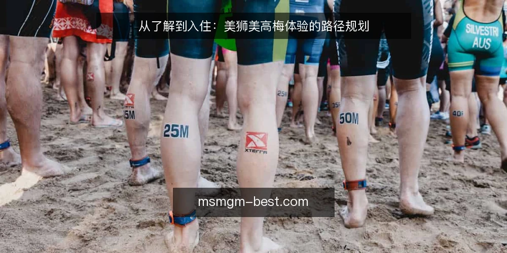 从了解到入住:美狮美高梅体验的路径规划 — 起点:明确出行目标与信息边界 配图